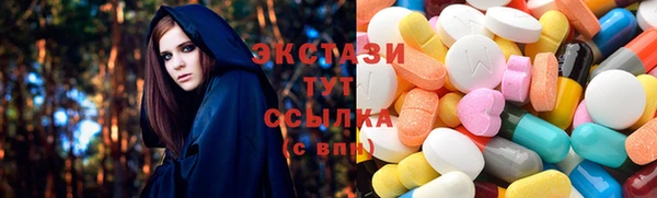 ECSTASY Богородицк