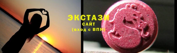 ECSTASY Богородицк