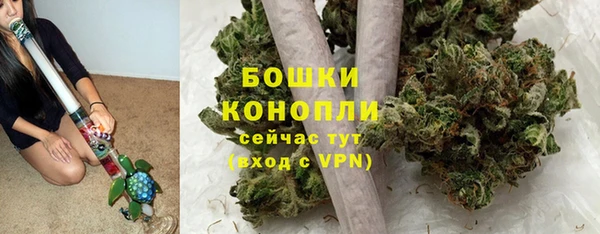 ECSTASY Богородицк