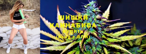 ECSTASY Богданович